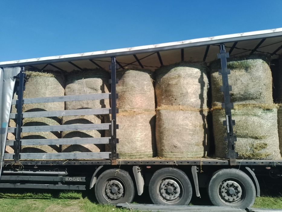 Baloti:Lucerna.Trifoi.Fan.Lolium.Rotunzi min 40.Drept.500.Trans.inclus
