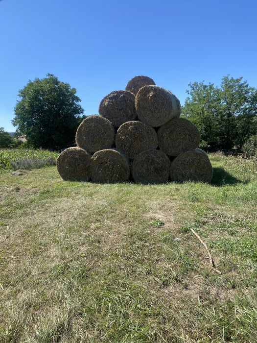 Vand baloti de paie de garu