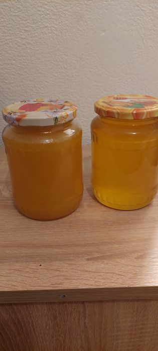 Miere albine floarea soarelui