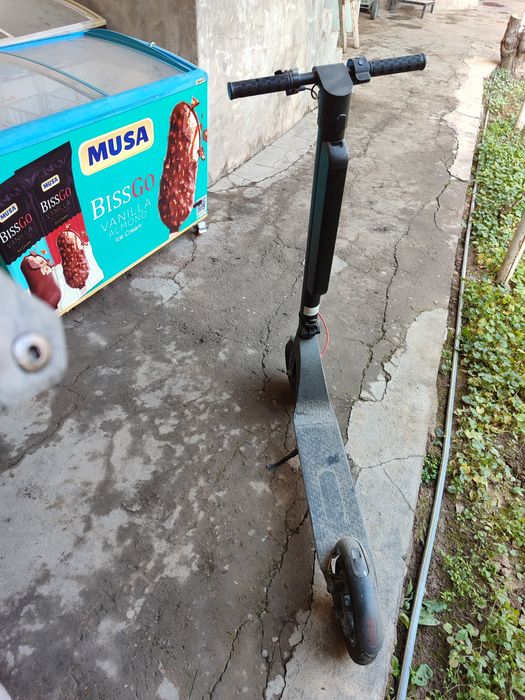 Samakat bolalar uchun