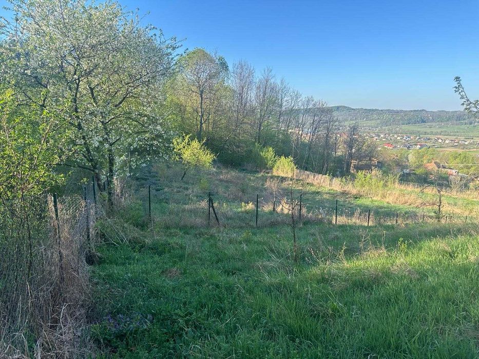 vând teren în sat Mustatesti, valea Iasului