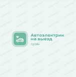Автоэлектрик на выезд  12/24.