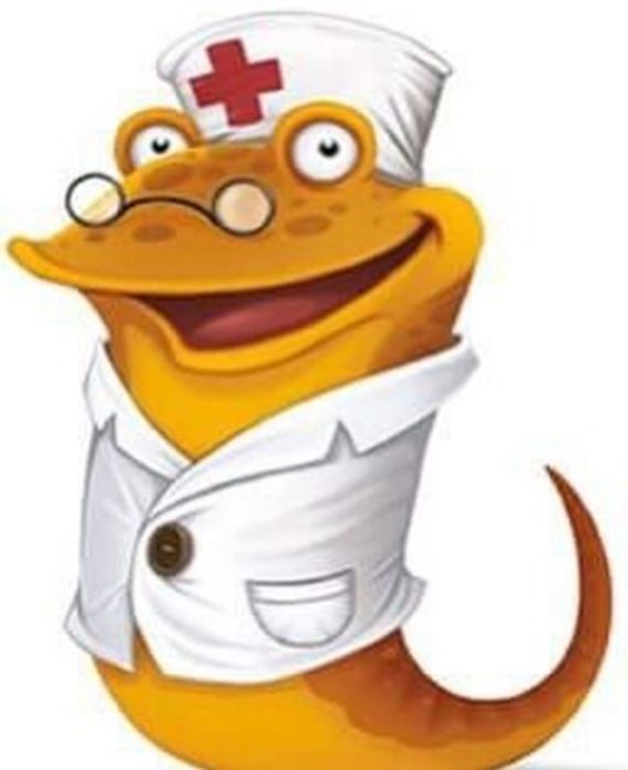 Оздоровление медицинской пиявкой. Продам и ставлю пиявки.