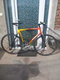 Cursiera Ridley Boreas