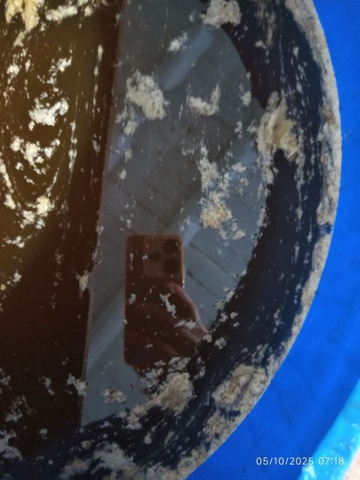 1kg Asal 80 000 dan 100 000 gacha sotiladi