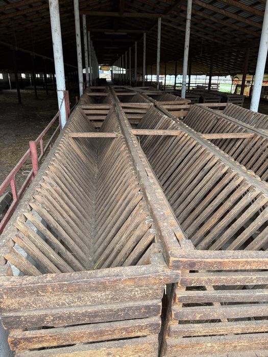 Hrănitoare pentru oi