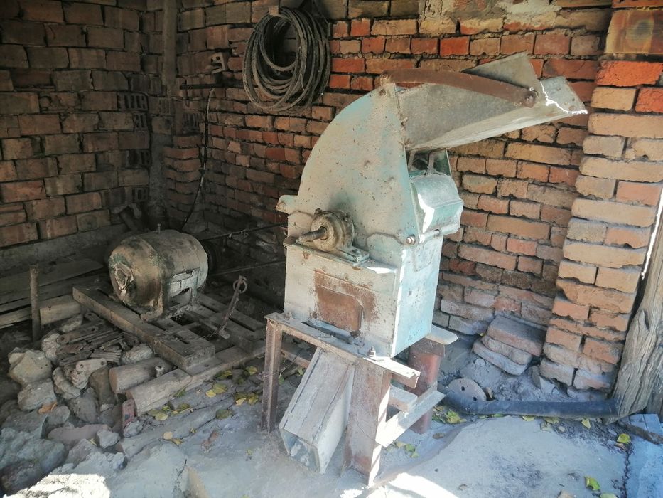 Голяма фуражомелка