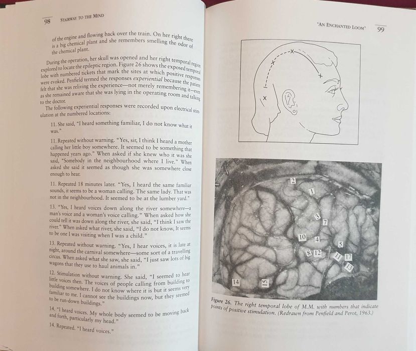 Stairway to the Mind. The Controversial New Science of Consciousness