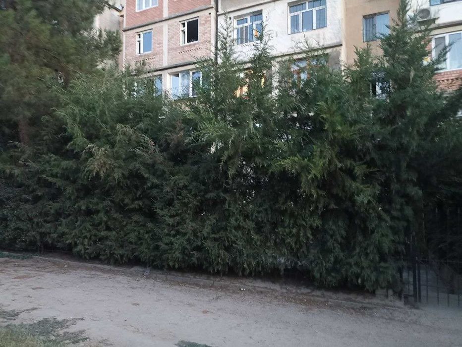 ПРОДАЖА КВАРТИРЫ! 3х комнатная,91 кв.м, Юнусабад 19-кв, Пансионат. США