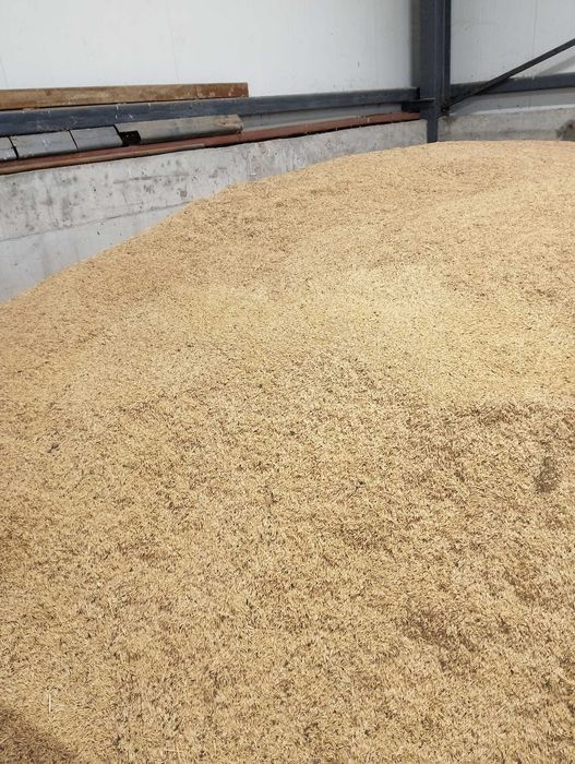 Продавам ОВЕС  реколта2025г. Напълнен в чували  по 30кг.цена 0.40ст/кг