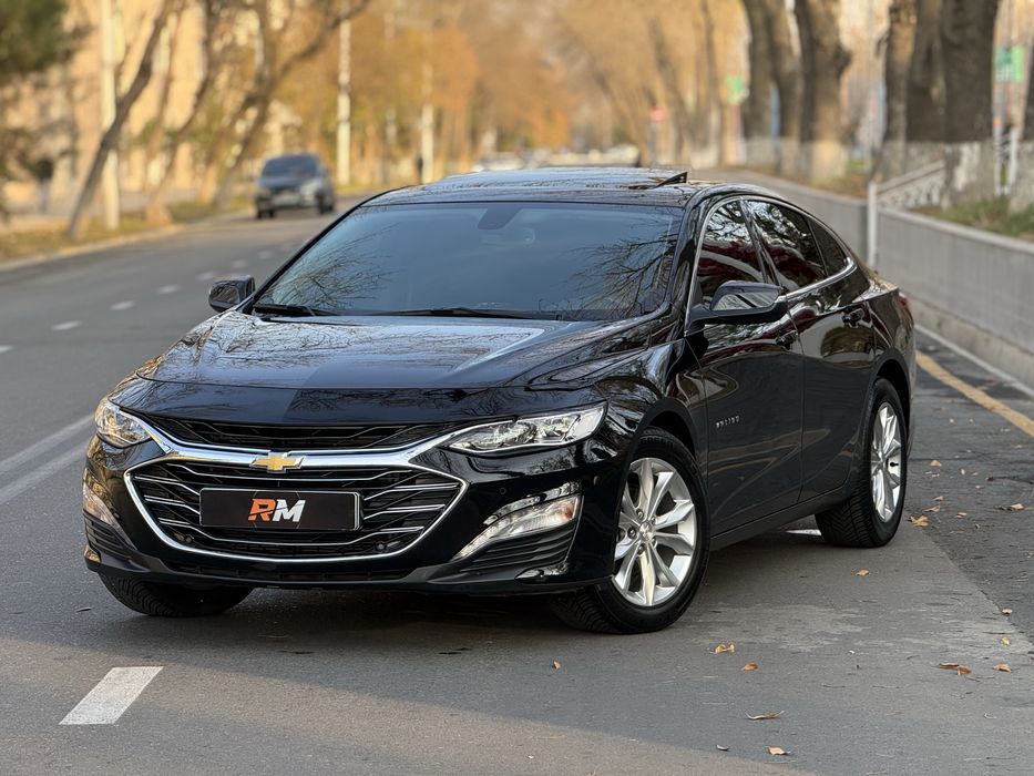 Malibu premier 2022 tinu