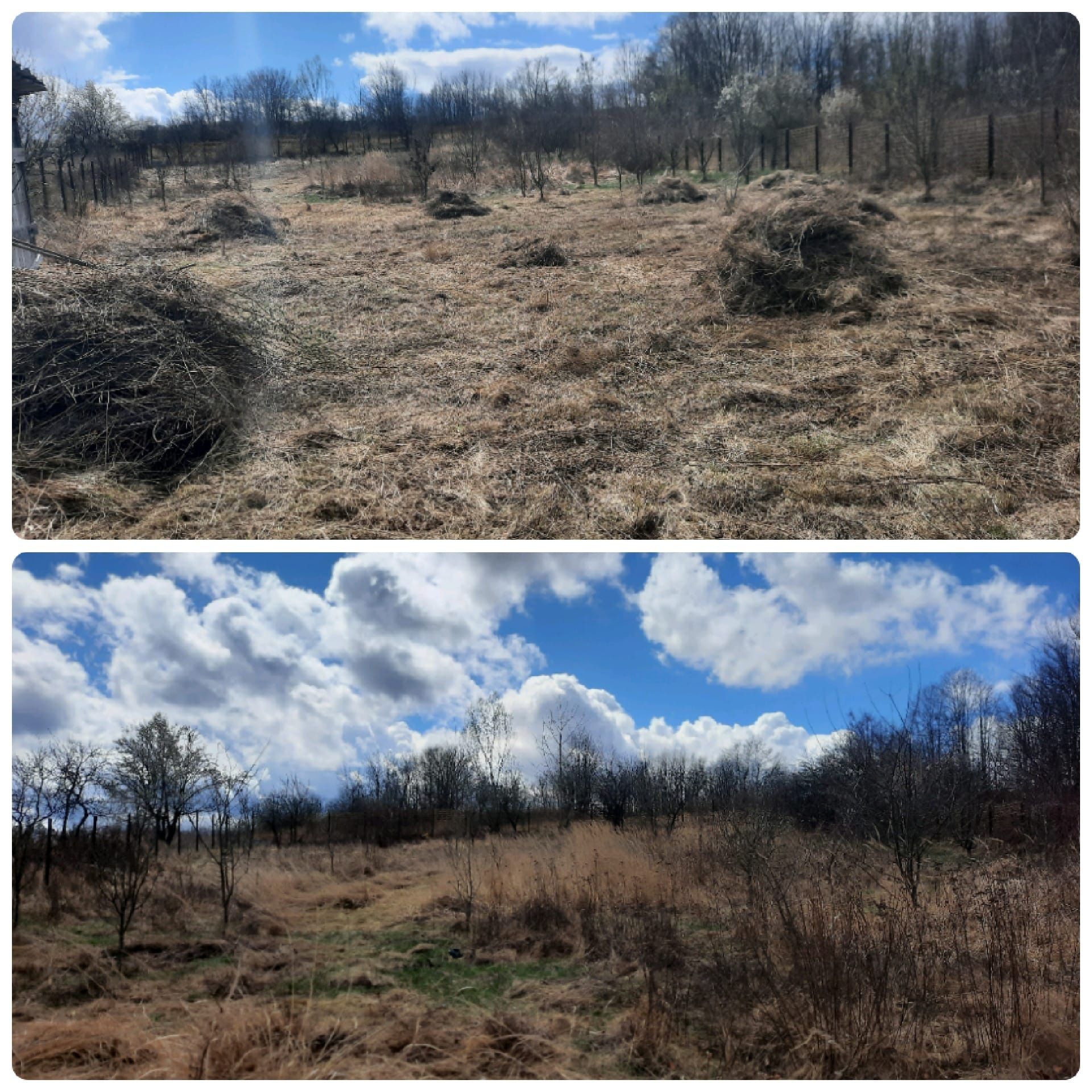 Defrisari_curatari terenuri , demolări , debarasari