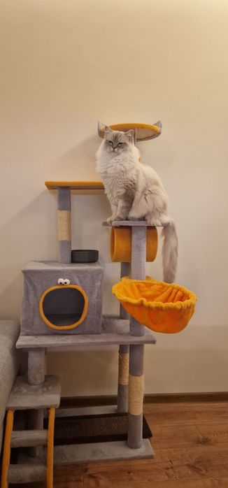 Катерушка за котки