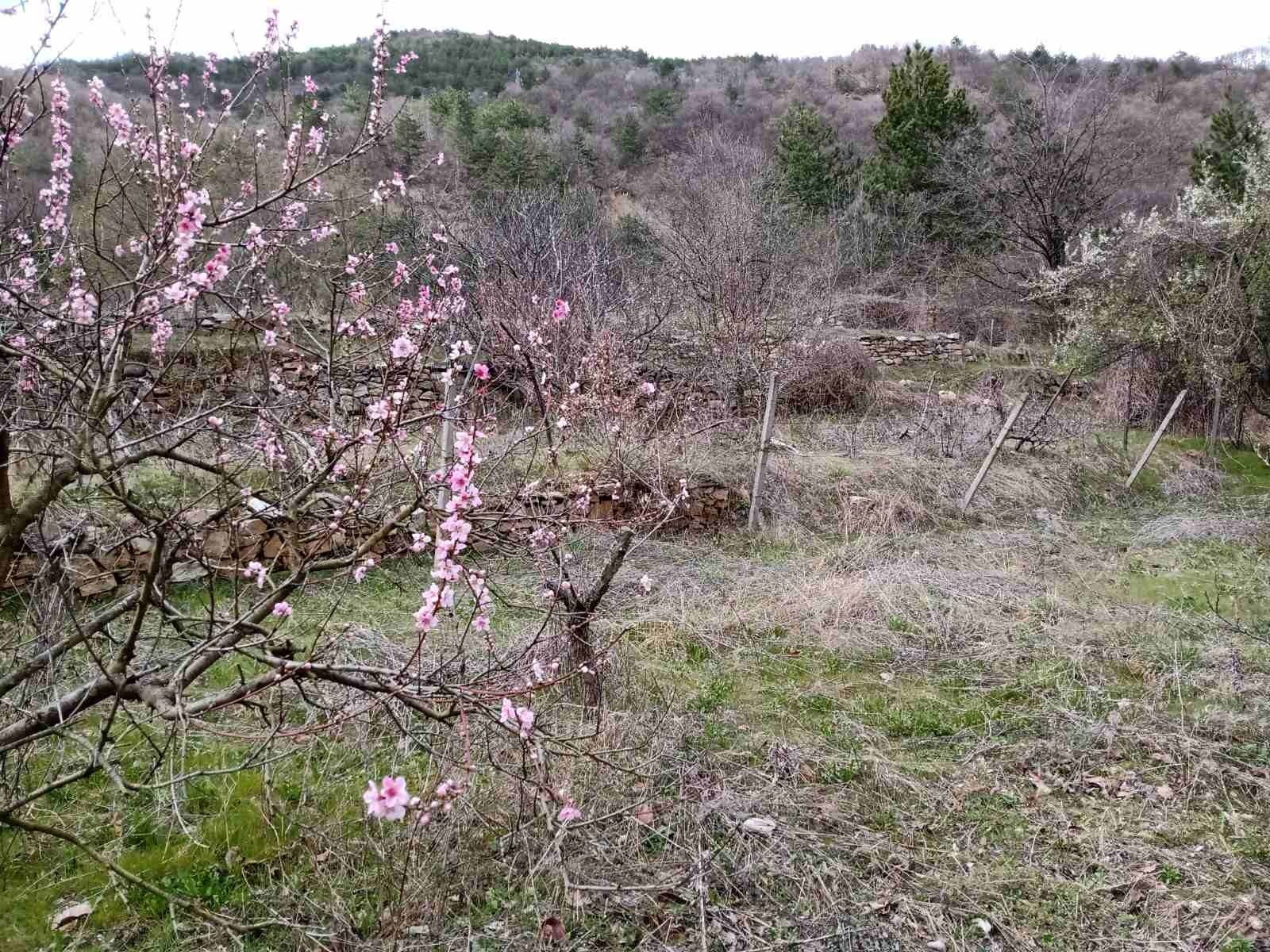 Продава парцел с. БАЧКОВО