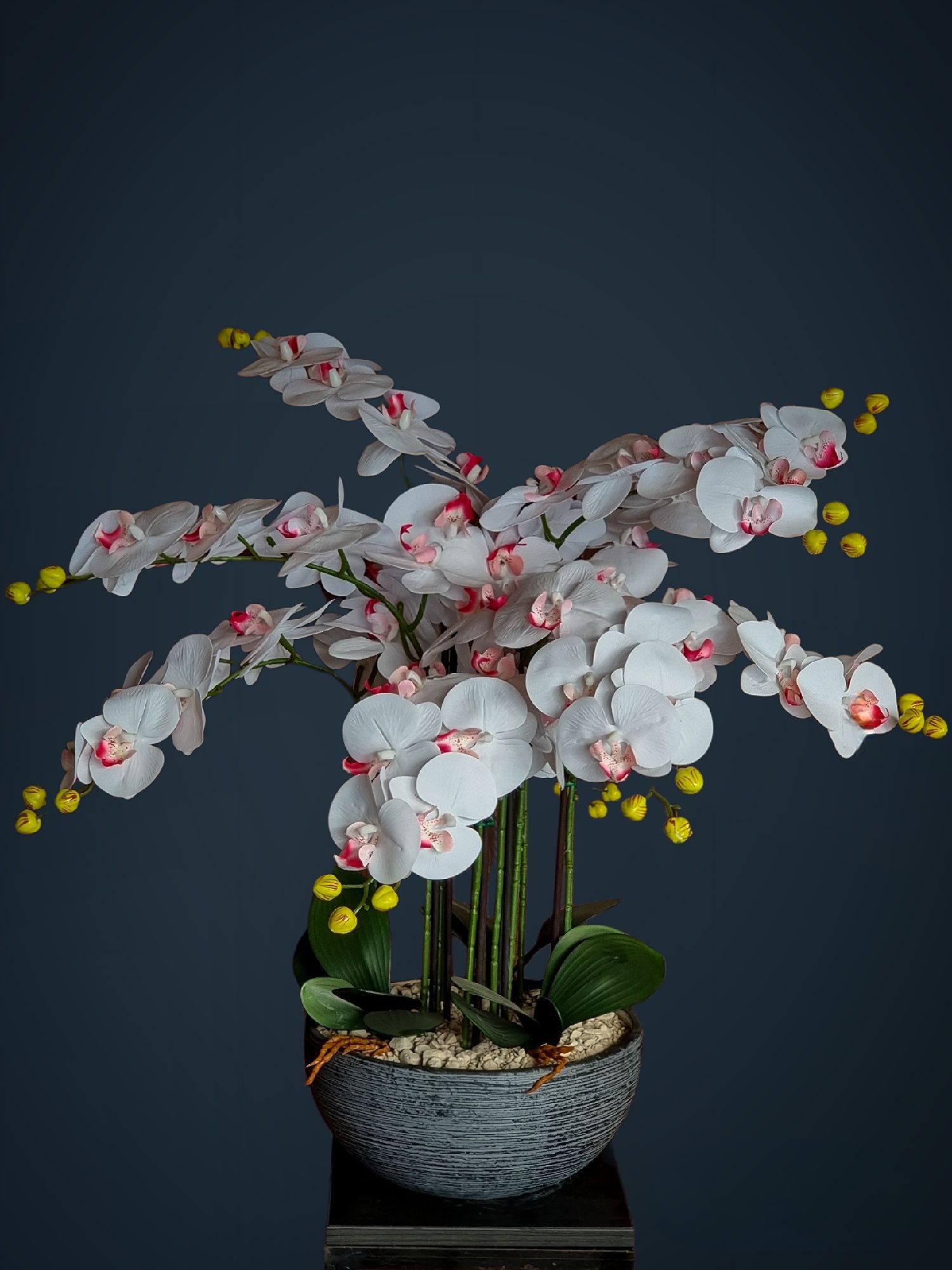 Компазиции из искувенных Орхидеи (Орхидея)