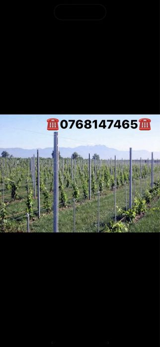 Vand spalieri stalpi zincati metalici pentru vie gard