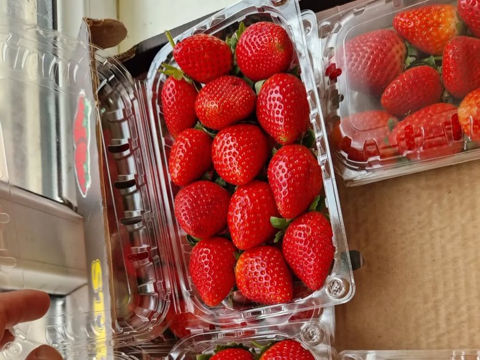 Клубника, КЛУБНИКА свежий Тараз Құпынай