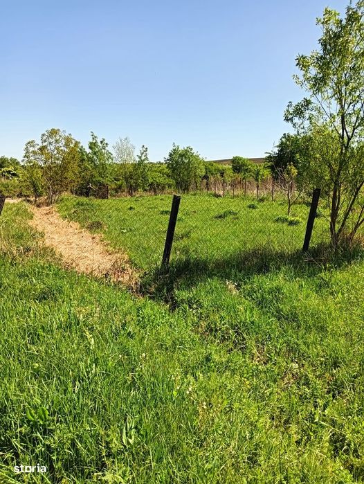 Teren intravilan Sopor