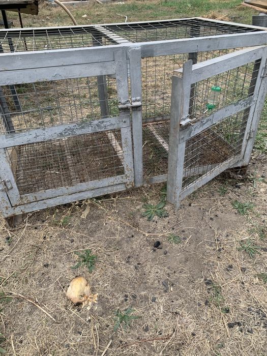 Металическая клетка для кролиа