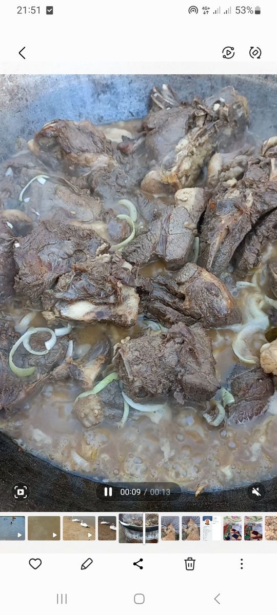 Палаушы повар,  буктырма
