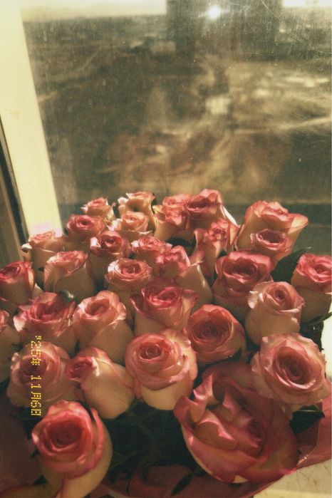 51 шт роза ақ , корзинадағы гүл 35 шт бағаларын келісеміз