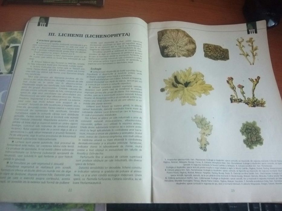 Atlas botanic scolar Gheorghe Mohan Corint