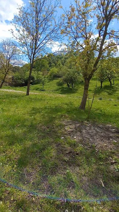 Teren intravilan 50 m latime . 5600m