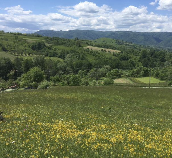 Teren intravilan