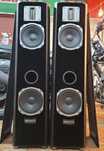Boxe Quadral Shogun VI Phonologue Gold
