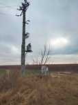 Vand teren intravilan, 14800 mp, str Carpati, Baicoi / PH