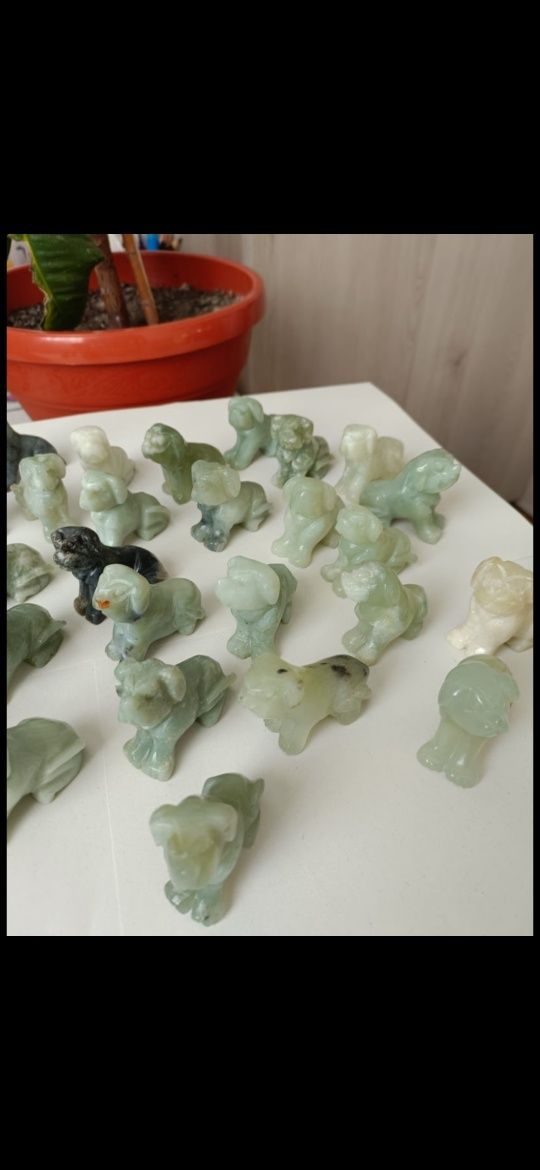 Caini de jad pe diferite nuanțe de verde