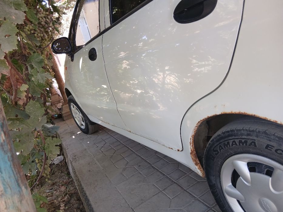 Motiz sotiladi hamma joyi yaxshi