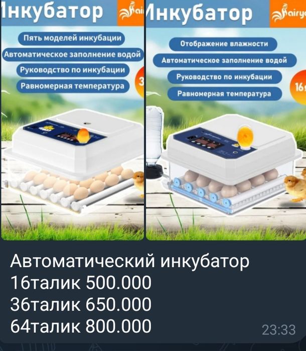Инкубатор автоматик для птиц