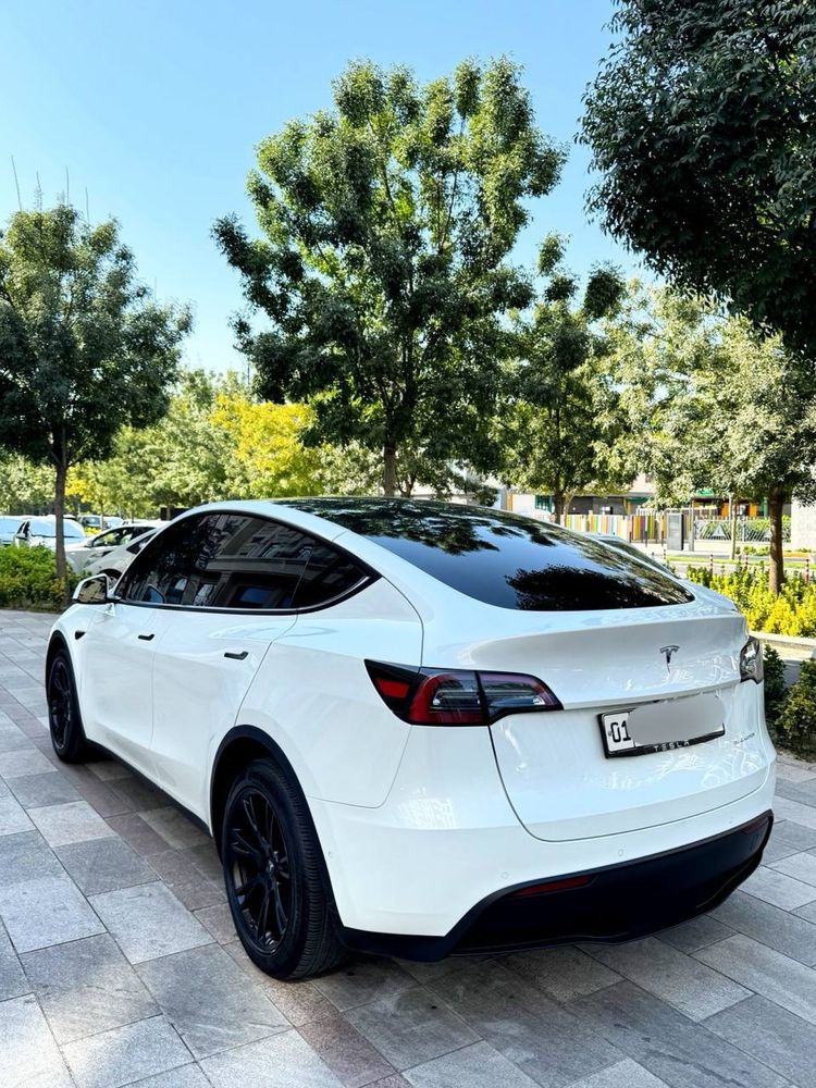 Tesla Model Y Dual Motor Long Range 2021/2022 America