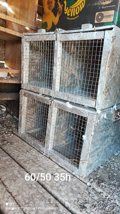 Ladă transport animale ,iepuri, păsări etc