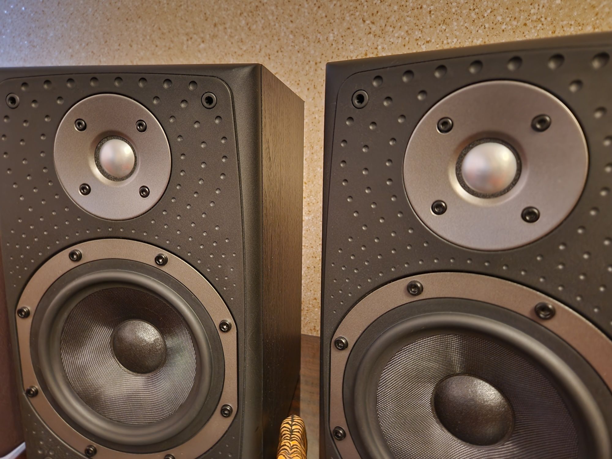 Bowers & Wilkins DM-303 Series. Boxe raft legendă. Artă și sunet !