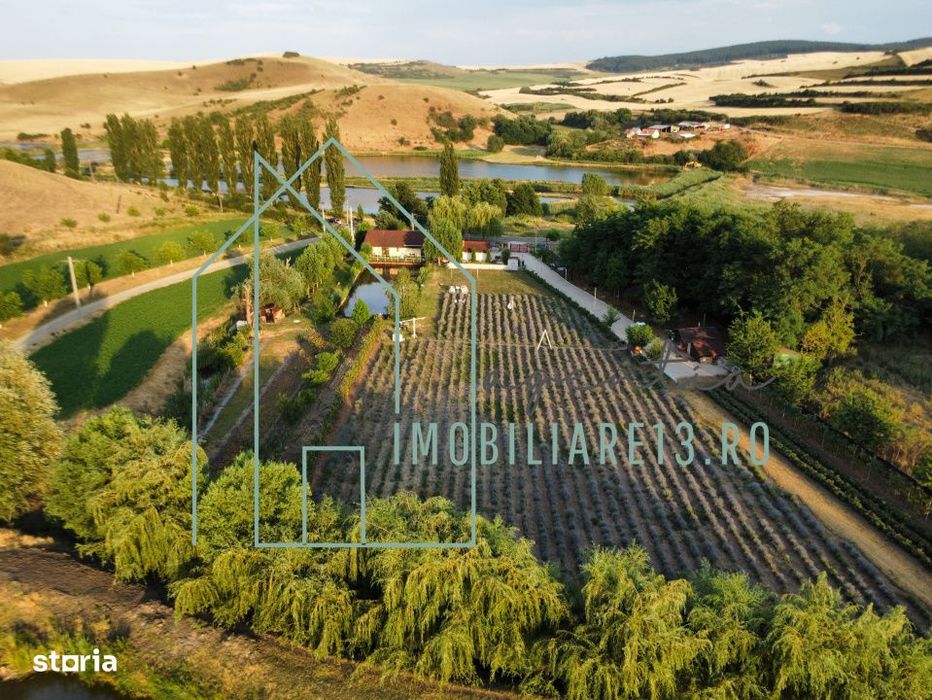 Domeniu, Afacere de vanzare, Sebes, Alba, balta pescuit, ferma lavanda