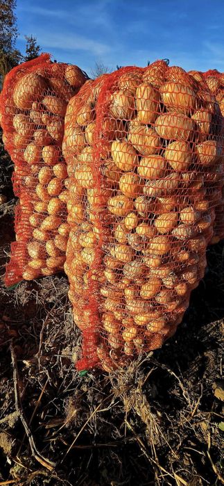 De vanzare - cartofi pentru animale!