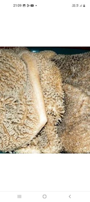 Требуха для собак говядины ия