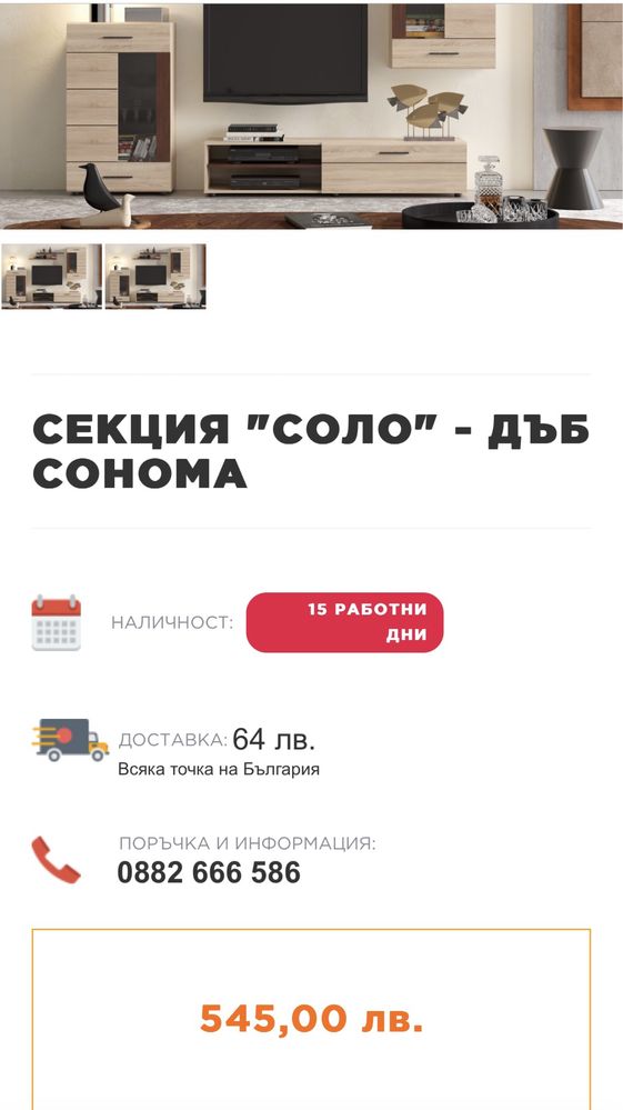 Холна секция