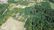 Gaminvest Teren intravilan de vanzare, Paleu, Bihor,V4312