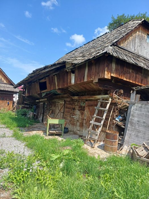 Vând grajd și bucătărie