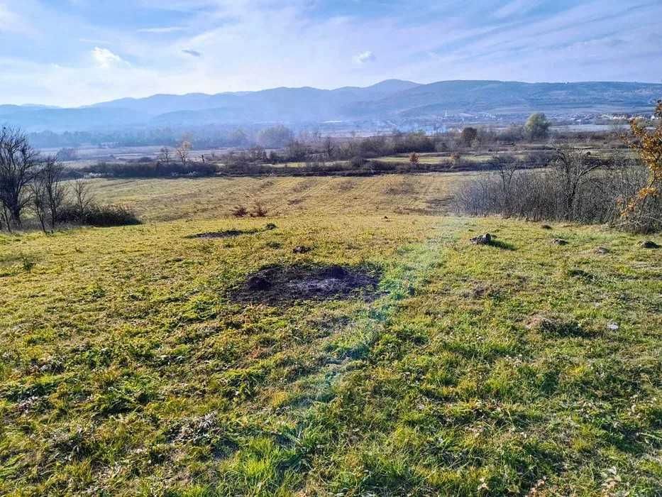 Teren de vanzare