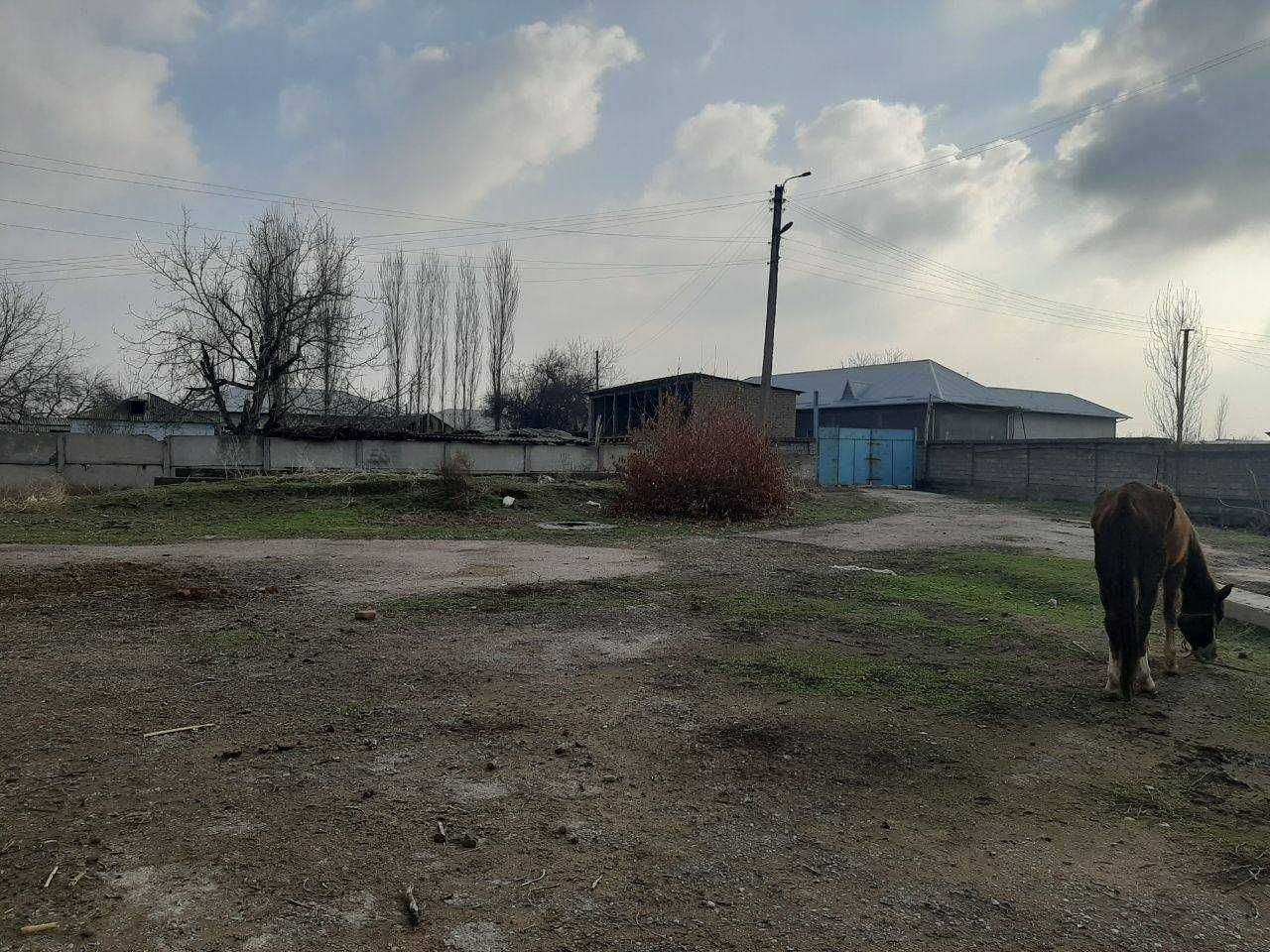 1 га ер сотилади