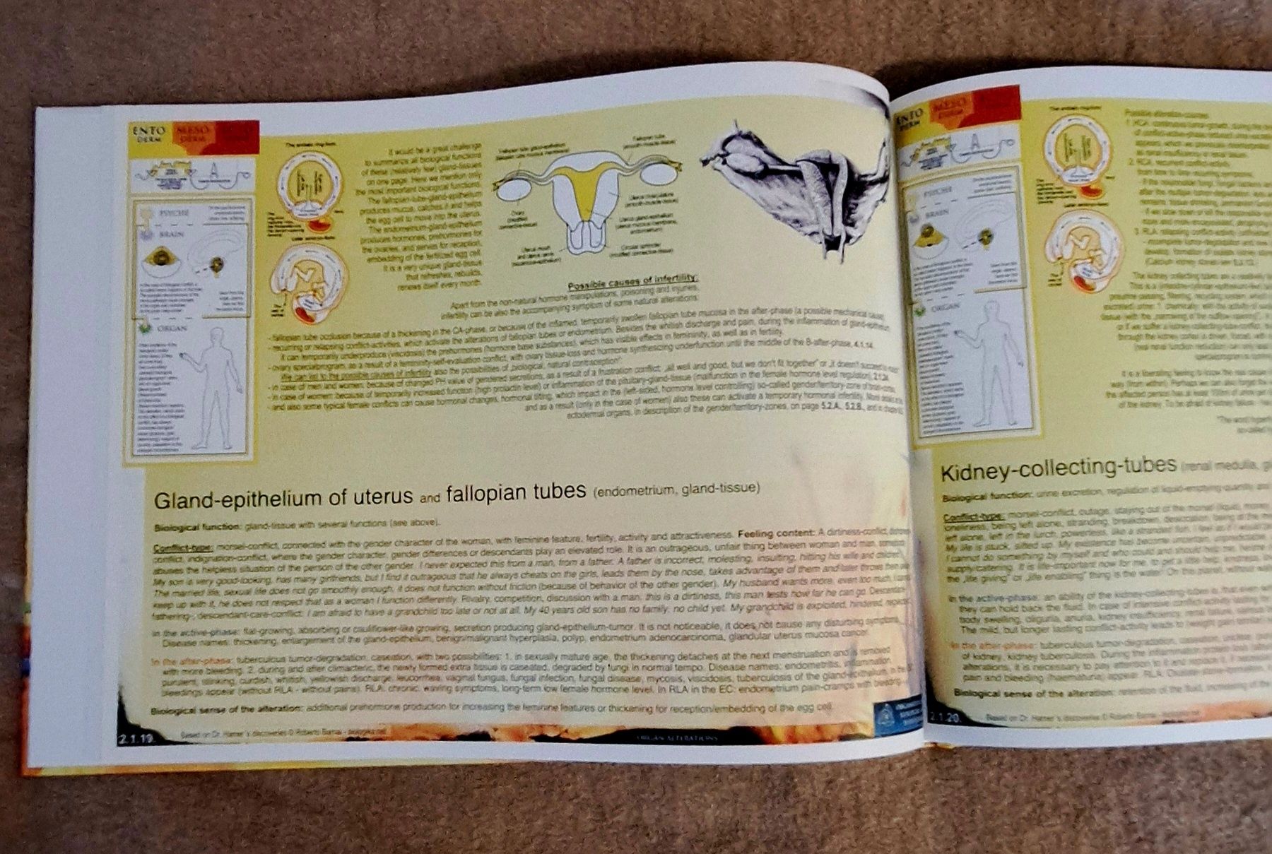 Atlas NMG Noua Medicina Germanica Biologika Organ Atlas Roberto Barnai