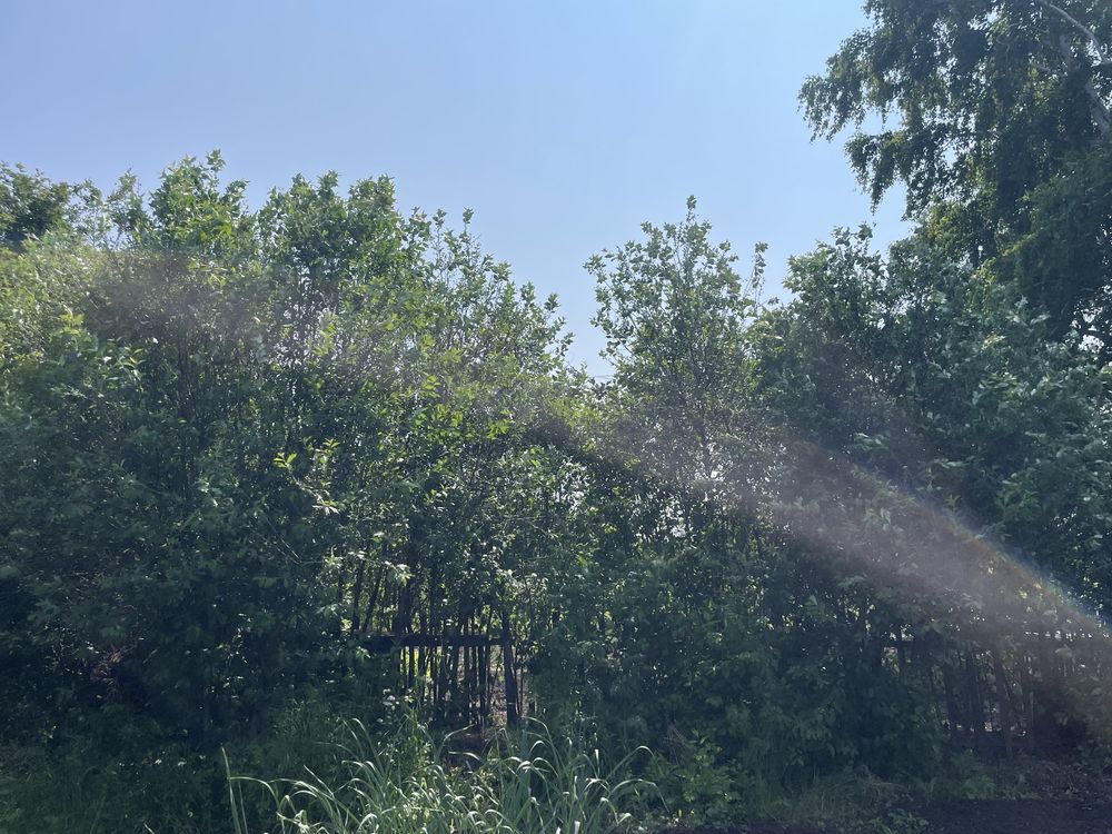 Продается дача в ДС Ромашка