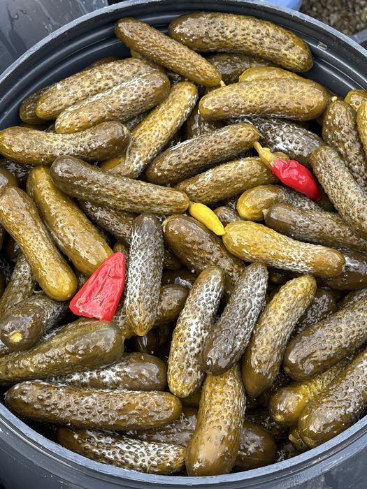 varza, castraveti murati