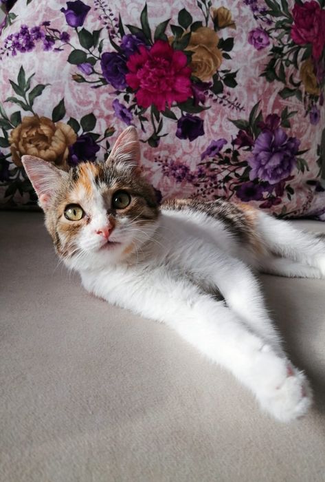 Отдам подростка-девочку в заботливые и надёжные ручки