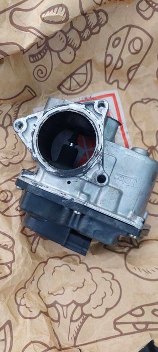 Egr seat Exeo 2,0diesel