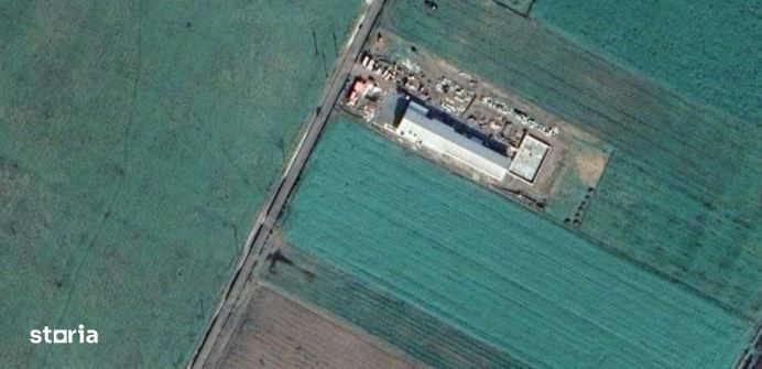 DE VÂNZARE Hala producție oua consum